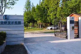 崇明有个真“香”现场！图片