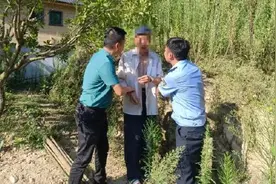 86岁老人爬墙离开敬老院上山捡柴：患阿尔兹海默症，误以为女儿在家等他做柴火饭图片