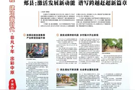 非凡十年 出彩中原丨郏县：激活发展新动能 谱写跨越赶超新篇章图片