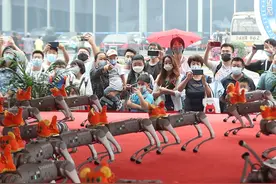 2022世界机器人博览会开幕图片