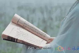 「大理」细酌馥郁茶香，慢饮文化悠长图片