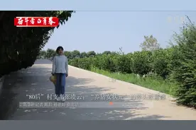 奋斗者·正青春｜“80后”村支书张凌云：“养猪女状元”的带头致富路图片