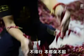 中国经济一线见闻｜辣椒经纪人见证遵义“小辣椒”变成“大产业”图片