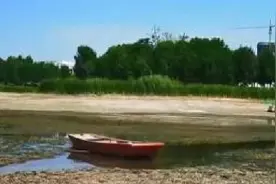 河南汝州巨型怪鱼是鳄雀鳝！湖水都抽干了 鱼还没影儿…图片