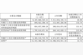 净利润翻倍增长！爱玛科技2022上半年业绩亮眼，产品创新成为发展主要手段图片