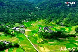 探寻百年古寨张家界石堰坪村，央视节目《山水间的家》周六首播图片