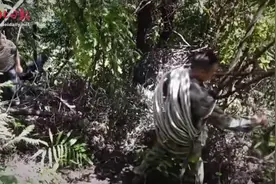山洞寻水记图片