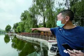 西宁市人民公园东湖惊现尖嘴怪鱼图片