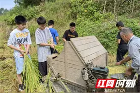 农耕体验+红色教育 娄底一中学生开展别样社会实践活动图片