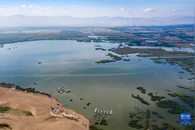 宁夏沙湖 碧波万顷图片