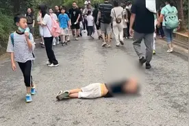 小男孩护头滚下山，目击者：旁边小孩对他竖大拇指，称真是个天才视频封面