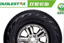 一份青岛双星半年报背后的“胎”动图片