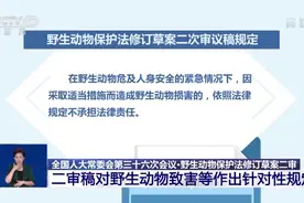 野生动物保护法修订草案二审 对野生动物致害等作出针对性规定图片
