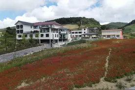 曾经盛产高山蔬菜 如今成新晋的网红“凉都”长阳火烧坪这个夏天火了一把图片
