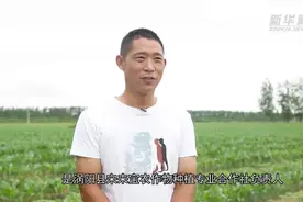 田头如何耕耘出“甜头”：探访皖北一家农民专业合作社图片