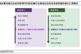 香港联系汇率制度再考察图片
