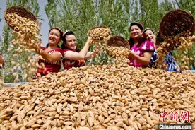 “中国巴旦木之乡”新疆莎车特色农产品产业延伸助农增收图片
