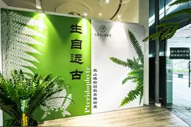 “国宝级”珍稀植物首次集中亮相辰山植物园图片
