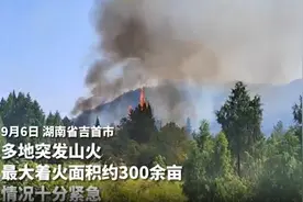 山火肆虐 武警湘西支队官兵紧急出动开展灭火救援图片
