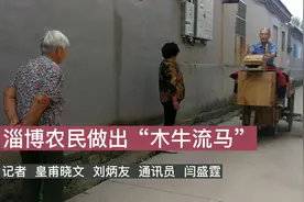 淄博农民做出“木牛流马”图片