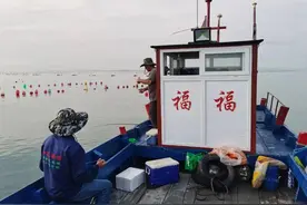 青未了 | 老魏钓鱼图片