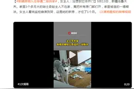 新婚房刚入住惨遭二哈拆家，女主人：没想到它会开门图片
