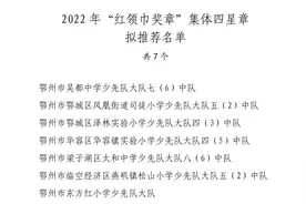 关于湖北省2022年度“红领巾奖章”四星章拟推荐名单的公示图片