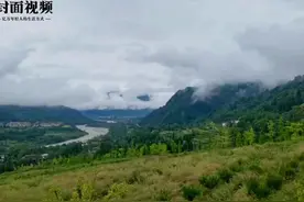 治愈系视频｜蜀中多仙山 睡美雨声中 居家的你来看看大自然的美景吧图片