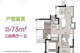 打新警示│尖岗山“刚需化”，会站岗吗？图片