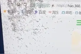 女子不慎将奶茶溅入电脑显示屏致蚂蚁筑巢，网友调侃：这是动态屏保！家庭防治蚂蚁小妙招来了→图片