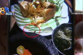 朋友四人聚餐 碗边一只虫子图片
