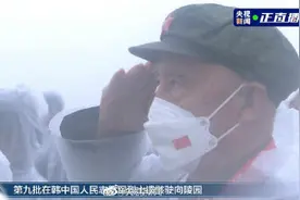 他们回来了！战友们在故乡的雨中重逢图片