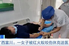 小心！攻击性极强，有剧毒！被叮咬后或致死亡图片
