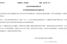 国家开发银行管理企业副总裁任凯接受审查调查，三家A股上市公司要换董事图片