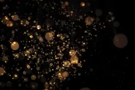 昆虫界的“直升机”图片