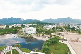一壶茶两岸情图片