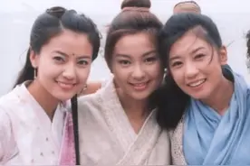 金庸为什么不让张无忌使降龙十八掌？图片