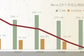 股价两年新低 Meta进退维谷图片