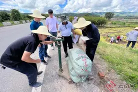 亩产829.69公斤！云南优质食味型香软米新品种“云籼650”首秀即惊艳图片