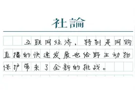 “大白鲨”岂能当美食图片