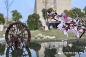 浙江同济科技职业学院招聘26人图片