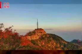 视频｜泰山：层林尽染美不胜收图片