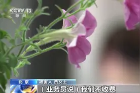 @老年人警惕“代拍藏品”骗局 当心馅饼变陷阱图片