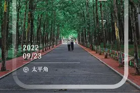 秋天，我和青岛最美海岬有个约定！图片