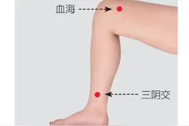 人体两个穴位“开关”帮您调气养血图片