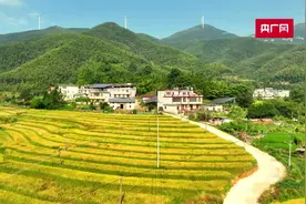 「云遇丰收节」赣鄱大地瓜果满园粮满仓图片