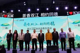 云南双江县县长陈鹏：冰岛茶就是源生于双江的勐库大叶种茶图片
