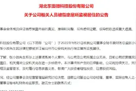 股民懵了！上市才4个月，80后董秘兼财务总监涉嫌犯罪图片