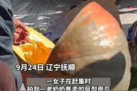 这是“南瓜祖宗”？小镇集市现巨型南瓜直径大如自行车轮，专家：比较少见图片