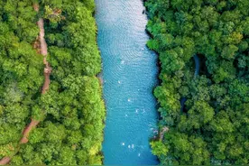 久仰！江夏图片